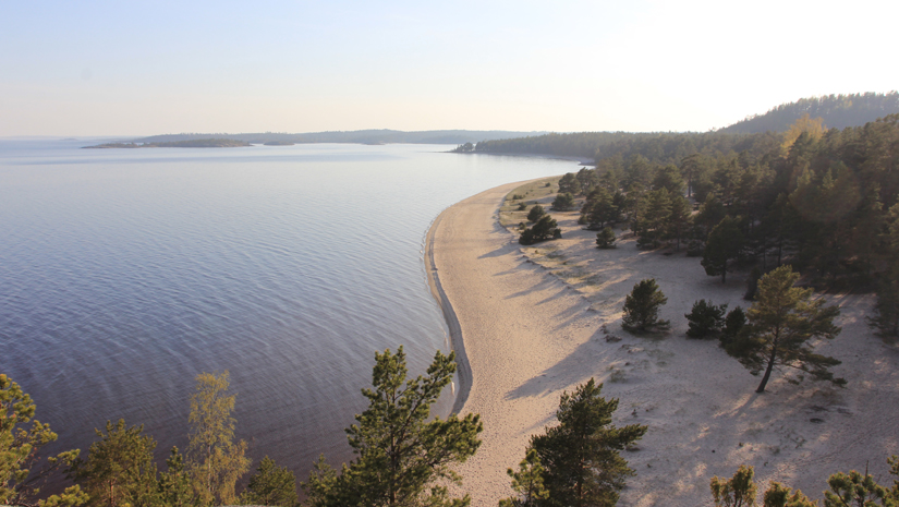 Остров Койонсаари