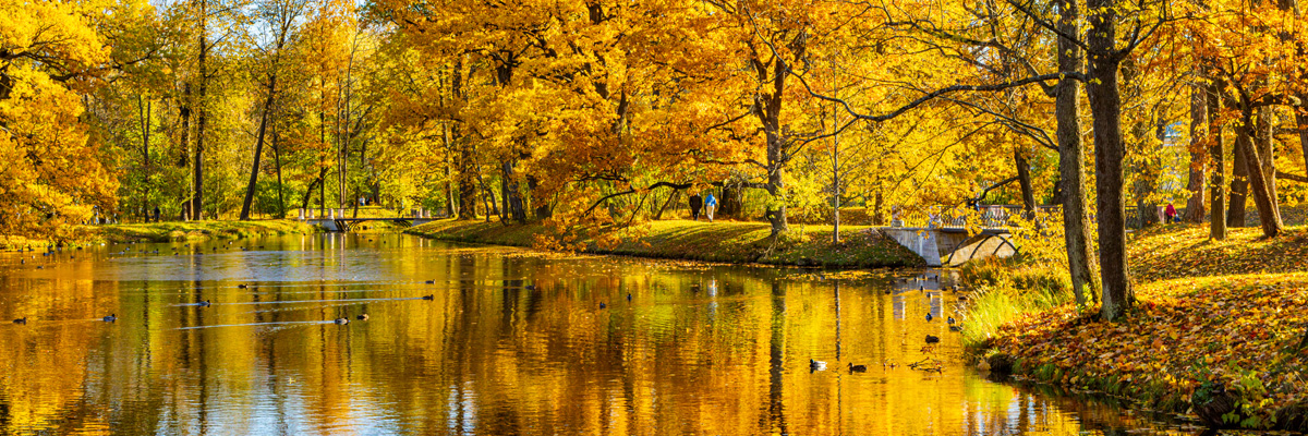 Куда поехать отдыхать в сентябре по России 2025