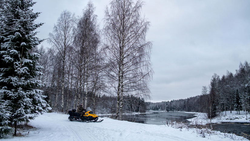 Снегоходы