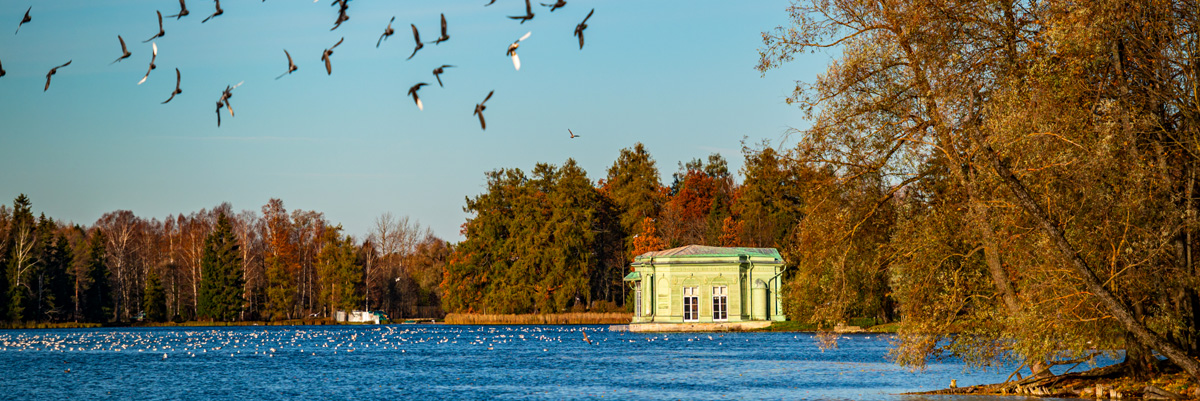 Куда поехать на осенние каникулы с ребёнком по России 2026