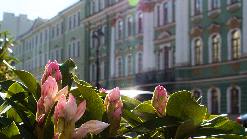 Санкт-Петербург