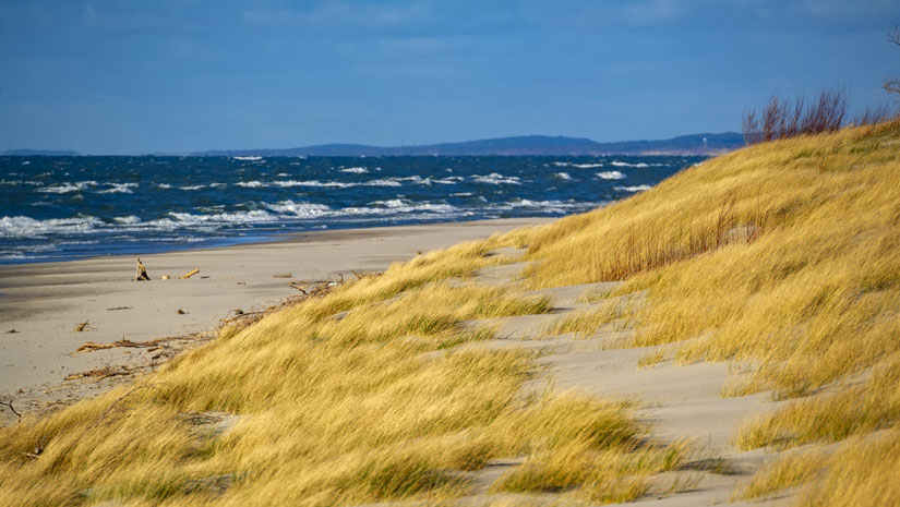 Калининград