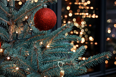 В гости к белорусскому Деду Морозу в Беловежскую пущу Фото В гости к белорусскому Деду Морозу в Беловежскую пущу