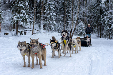 Зимнее волшебство в парк-отеле «Хвоя. Карелия» Фото Зимнее волшебство в парк-отеле «Хвоя. Карелия»