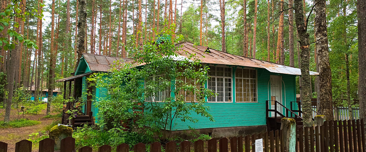 «Будка» Анны Ахматовой