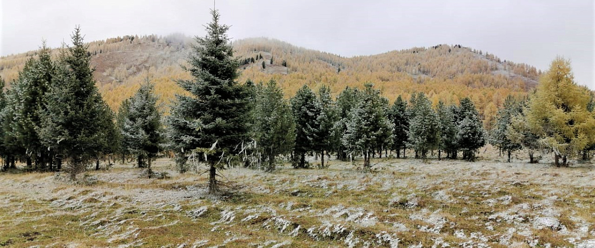 Калейский перевал