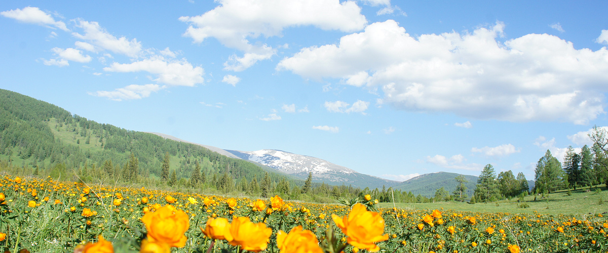 Семинский перевал