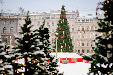 Новогодняя прогулка по Петербургу и Петергофу Фото Новогодняя прогулка по Петербургу и Петергофу