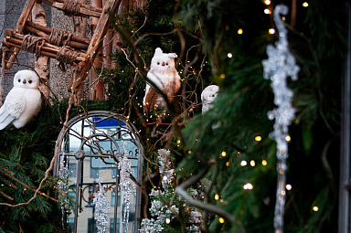 Старт в Выборге: В гости к финскому Йоулупукки Фото Старт в Выборге: В гости к финскому Йоулупукки