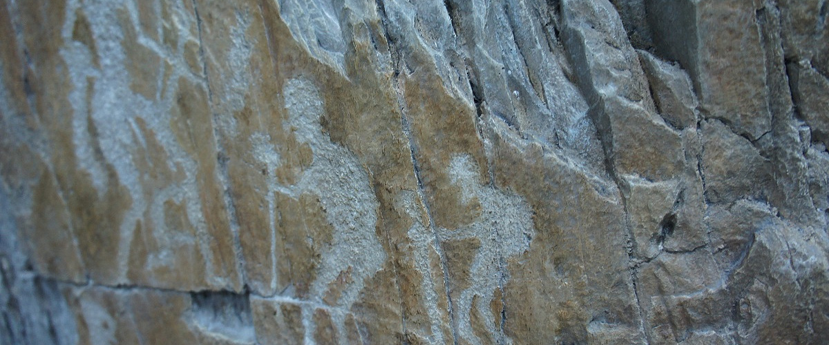 Петроглифы